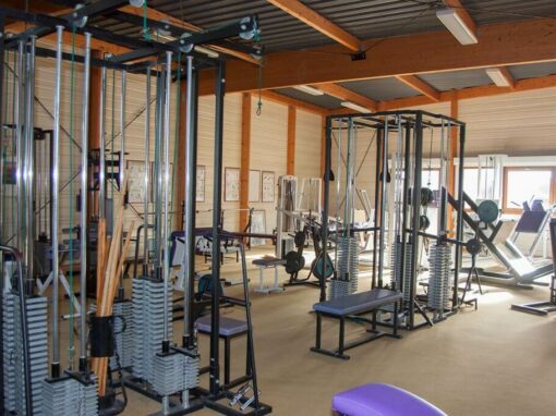 big_albasud_musculation (1)